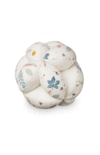 CAM CAM Grab Ball - Pressed Leaves Rose