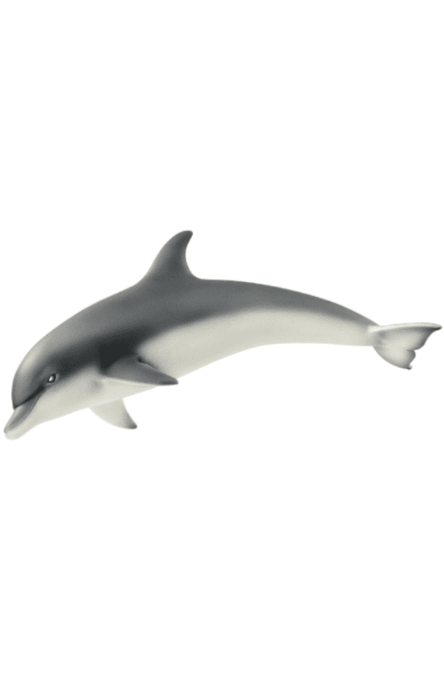 Schleich Dolphin