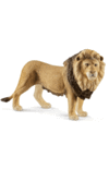 Schleich Lion